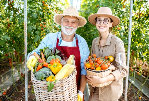 grandparent and child picking vegetables from a garden