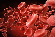 Blood cells representing PRP/PRF Therapy in McMinnville 